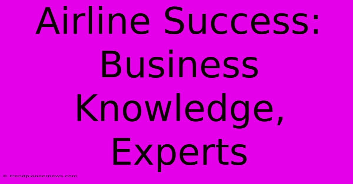 Airline Success: Business Knowledge, Experts