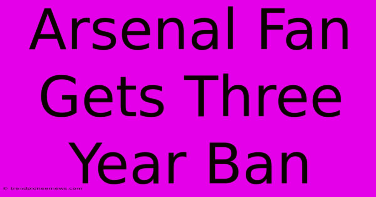 Arsenal Fan Gets Three Year Ban