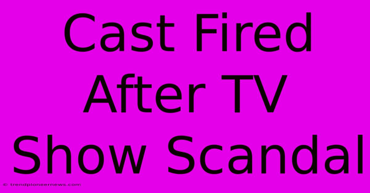 Cast Fired After TV Show Scandal