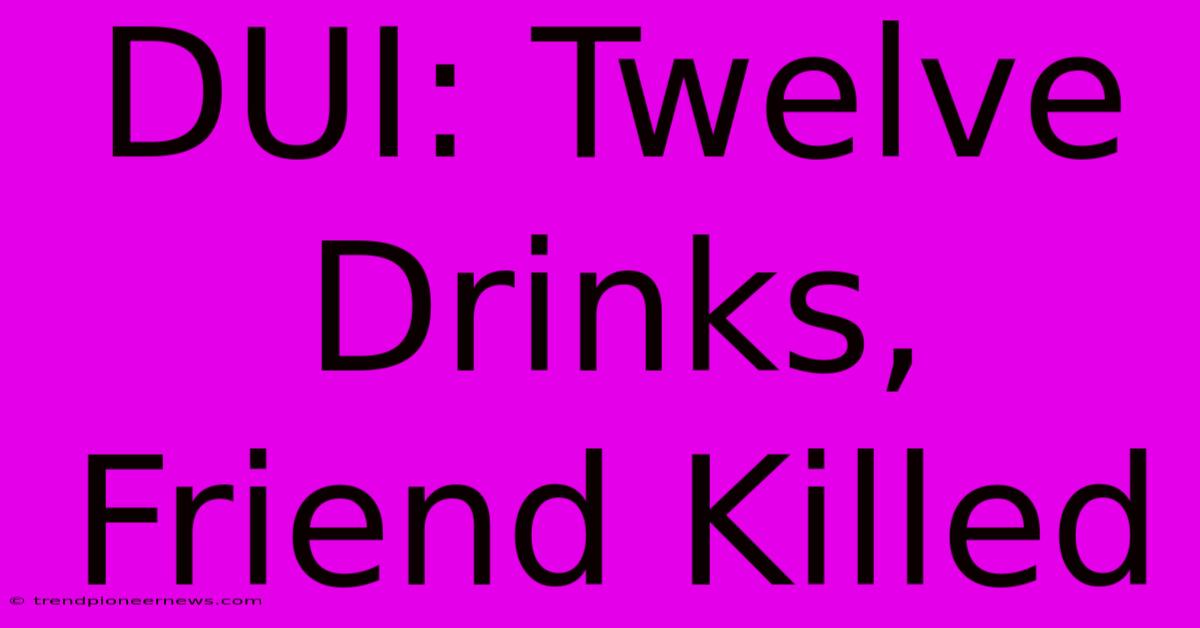 DUI: Twelve Drinks, Friend Killed