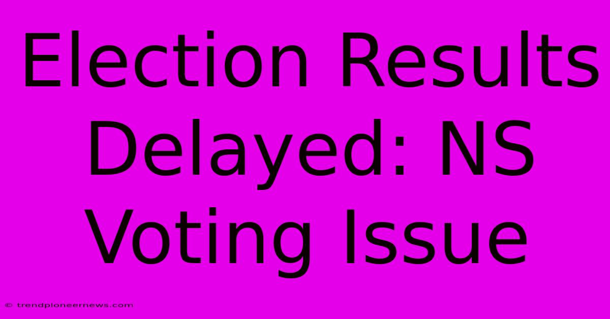 Election Results Delayed: NS Voting Issue