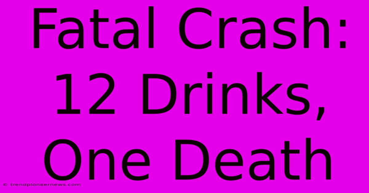 Fatal Crash: 12 Drinks, One Death