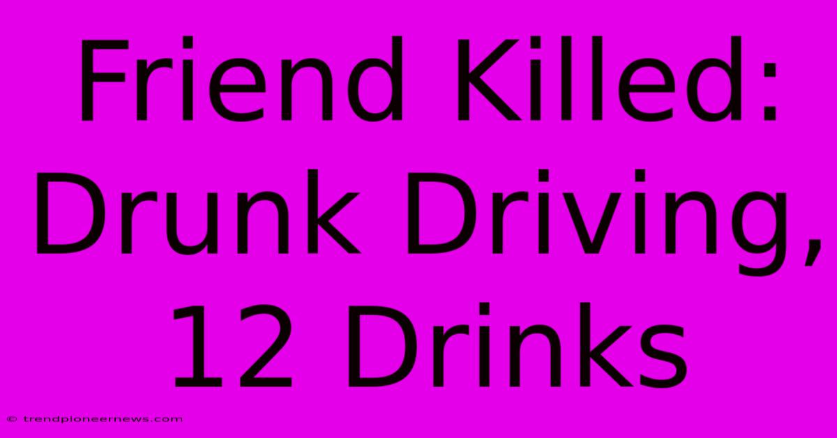 Friend Killed: Drunk Driving, 12 Drinks