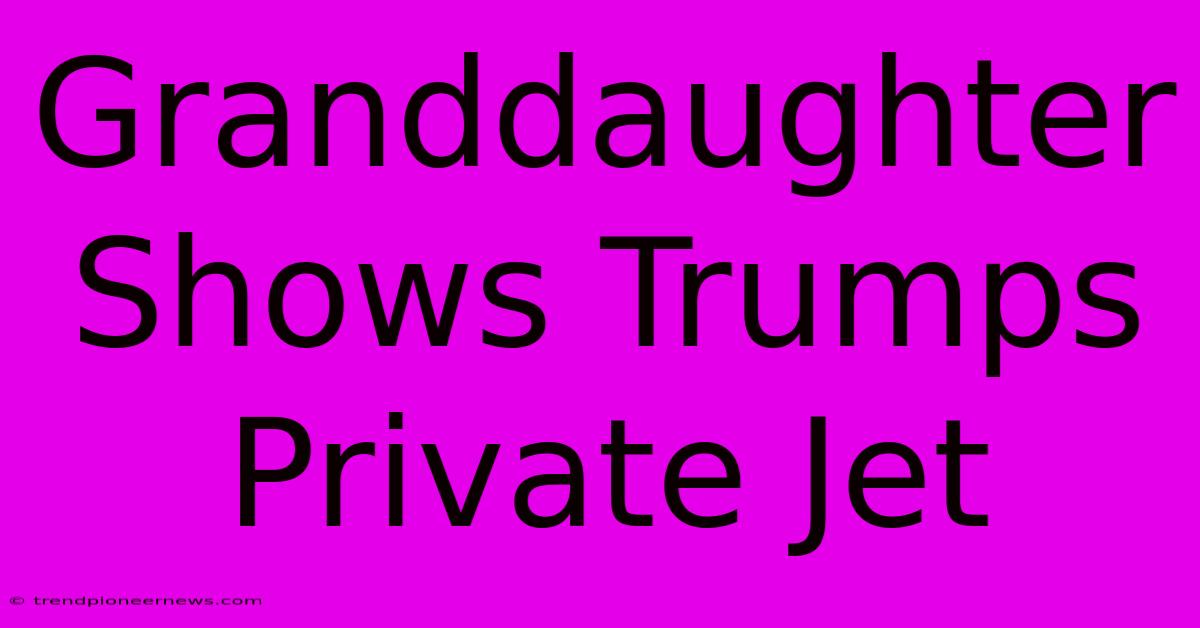 Granddaughter Shows Trumps Private Jet