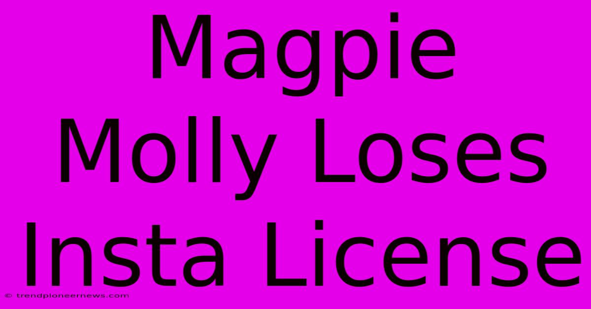 Magpie Molly Loses Insta License