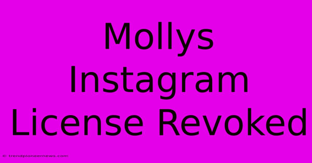 Mollys Instagram License Revoked