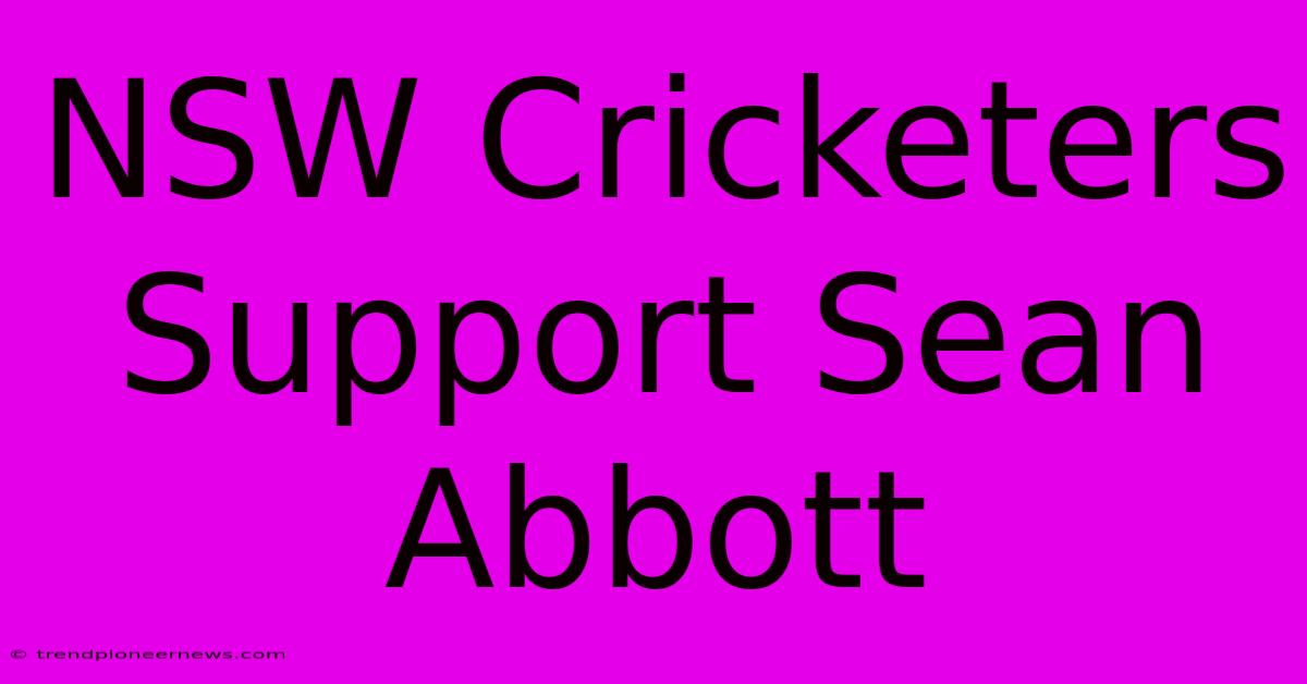 NSW Cricketers Support Sean Abbott