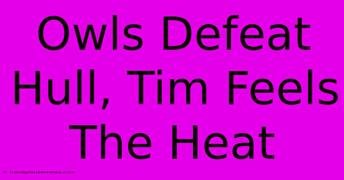 Owls Defeat Hull, Tim Feels The Heat