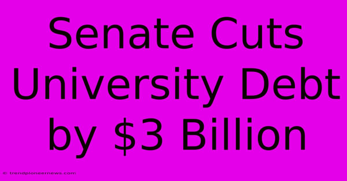 Senate Cuts University Debt By $3 Billion