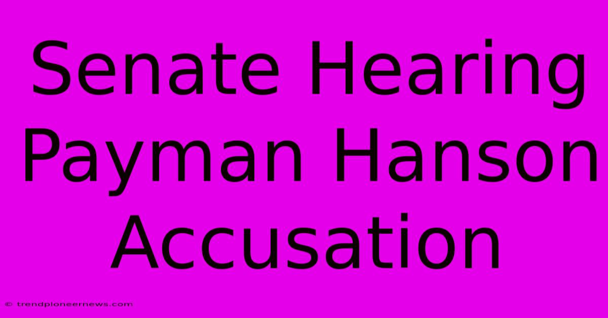 Senate Hearing Payman Hanson Accusation