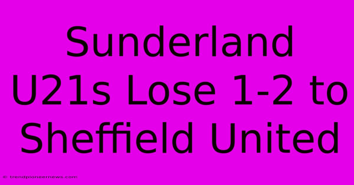 Sunderland U21s Lose 1-2 To Sheffield United