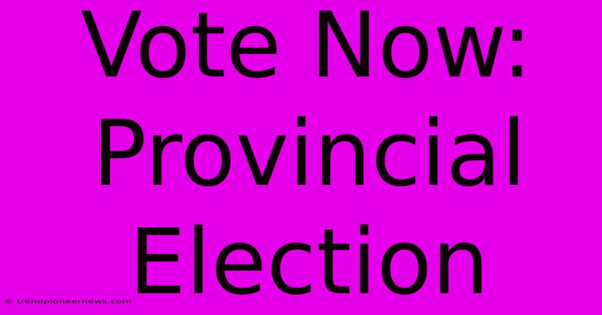 Vote Now: Provincial Election